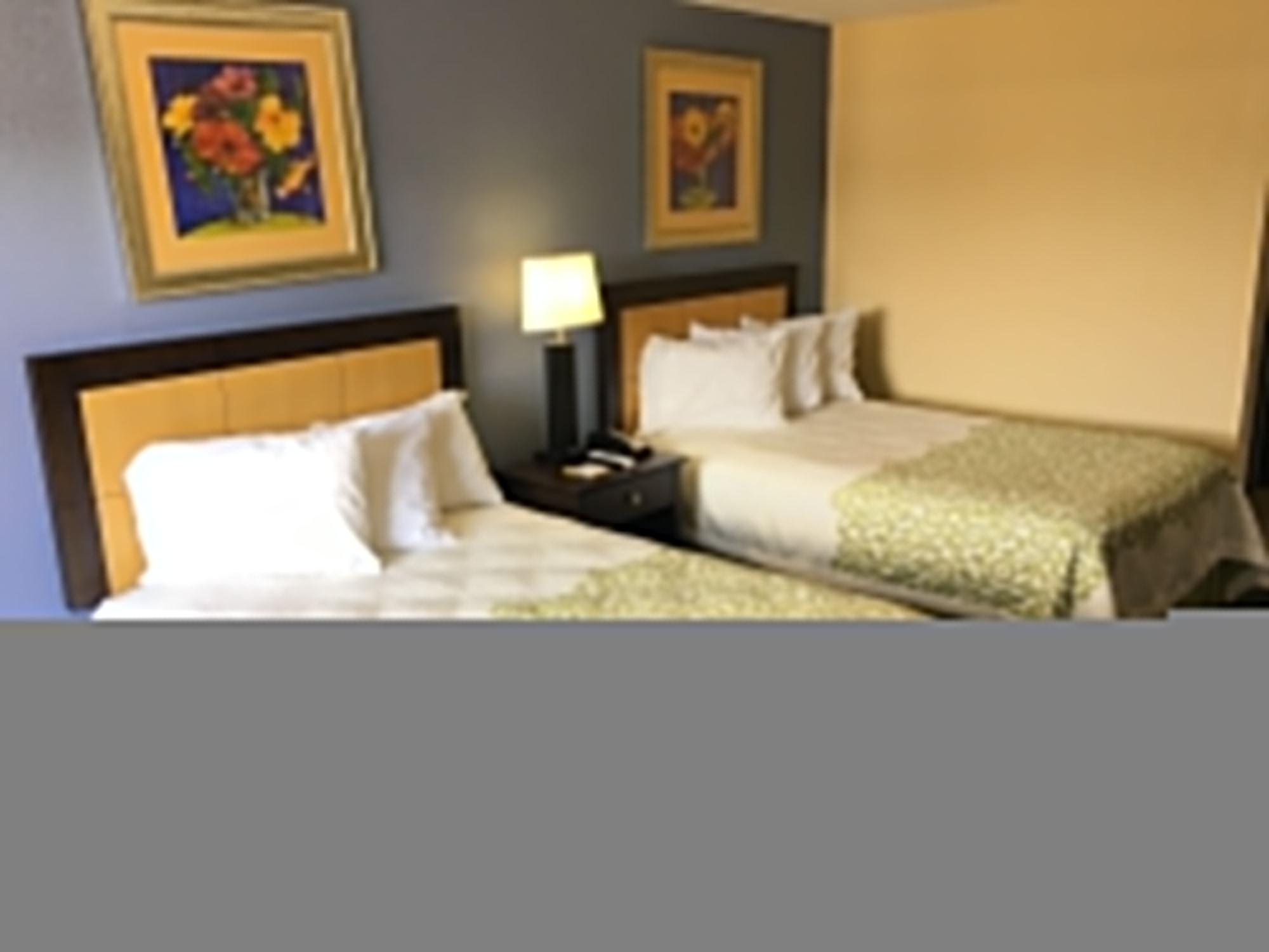 Days Inn & Suites By Wyndham Tampa - Ybor City Extérieur photo